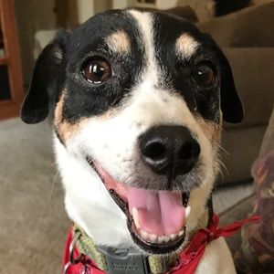 Meet your Posher, Raquel